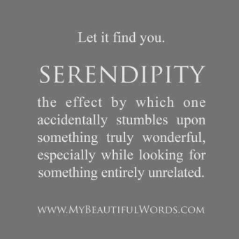 2014-10-12-serendipity-thumb.jpg